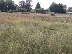 1000 m² Land available in Kookrus