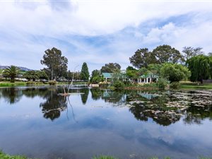 3 Bed House in Kelland