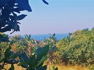 1311 m² Land available in Hibberdene