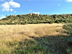 1180 m² Land available in Ladybrand