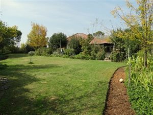 2.1 ha Farm in Bloemspruit