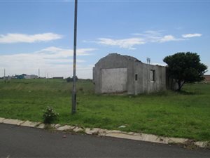 1000 m² Land available in Struisbult