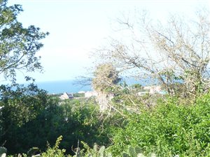 835 m² Land available in Forest Downs
