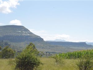 2081 m² Land available in Fouriesburg