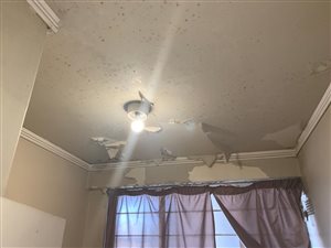 1 Bed Apartment in Joubert Park
