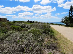 698 m² Land available in Boggomsbaai