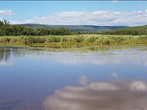 509 ha Farm in Mookgophong (Naboomspruit)