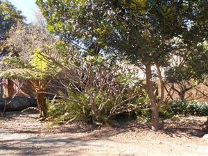 1 ha Farm in Lyttelton AH