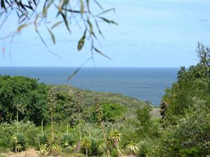 875 m² Land available in Chintsa East