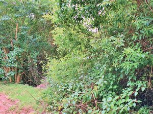 3934 m² Land available in Trafalgar