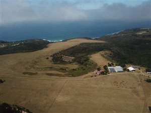 99 ha Land available in Hansmoeskraal