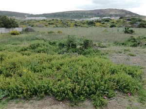 623 m² Land available in Diaz Beach