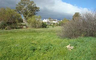 1500 m² Land available in McGregor