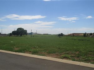 1000 m² Land available in Struisbult