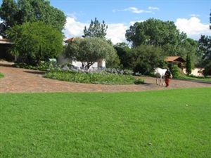 9 ha Farm in Bridle Park AH