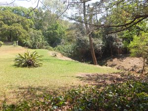 2155 m² Land available in Wembley
