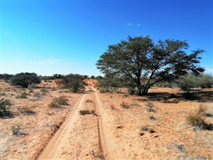 Game Farm in Olifantshoek