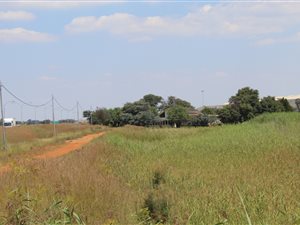 Smallholding in Withok Estates