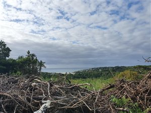1349 m² Land available in Ramsgate