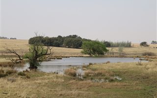 140.4 ha Farm with House in Sterkfontein and surrounds