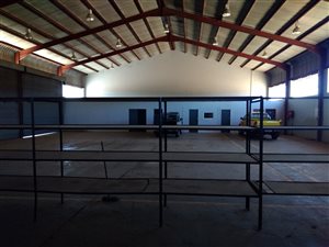 600 m² Industrial space in Futura