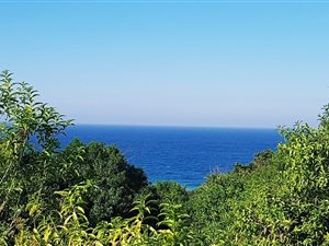 2120 m² Land available in Woodgrange