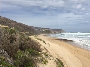 212 ha Land available in Knysna Central