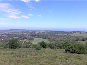 124.1 ha Farm in Kragga Kamma