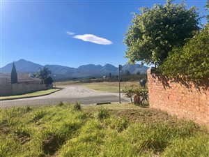 1008 m² Land available in Loerie Park