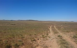 257 ha Land available in Edenburg