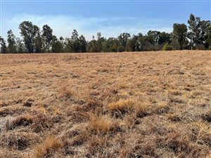 3310 m² Land available in Blair Atholl Estate