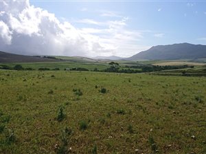 4.5 ha Farm in Tesselaarsdal