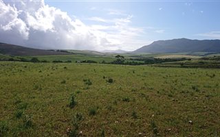4.5 ha Farm in Tesselaarsdal