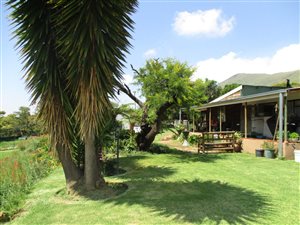 37 ha Farm in Lydenburg