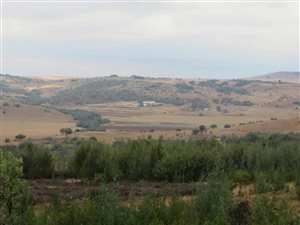 543 ha Farm in Krugersdorp Central