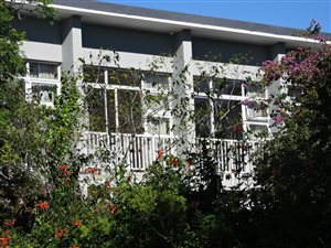 Studio apartment in West Hill