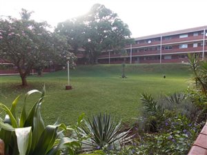 2 Bedroom Apartment in Bluff