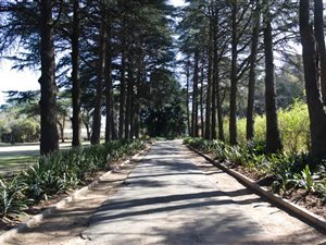 3.8 ha Farm in Ruimsig AH