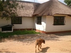 2 Bed Garden Cottage in Austin View