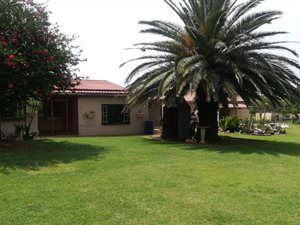 141 ha Farm in Newcastle Central