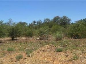 1749 m² Land available in Meiringspark
