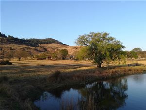 6 Bed House in Dullstroom