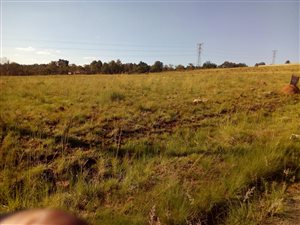 1 ha Land available in Walkerville