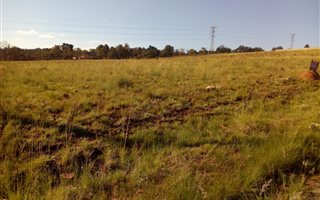 1 ha Land available in Walkerville