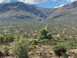 416 ha Farm in Steytlerville
