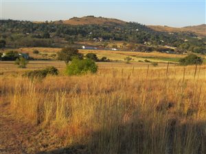 1 ha Land available in Walkerville