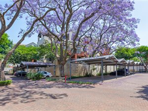 2 Bed Apartment in Bryanston