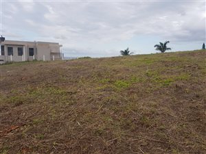 1033 m² Land available in Freeland Park