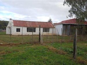 81 ha Farm in George Central