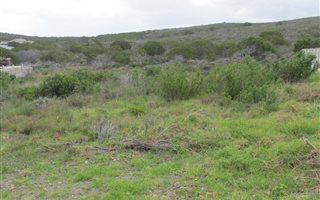 1147 m² Land available in Seemeeu Park